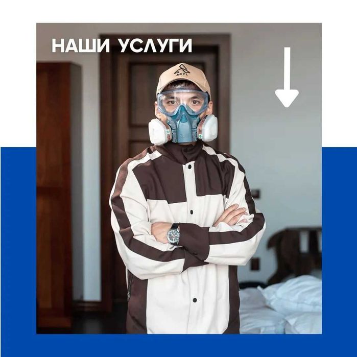 ASYL DEZ - Немедленно избавим ваш дом от насекомых