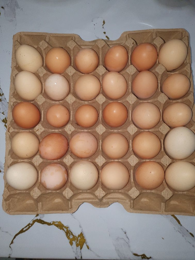 Яйцо домашнее вкусное