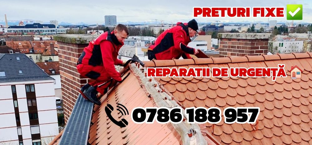 Reparații Acoperișuri & Renovări & Sistem Pluvial & Vopsire & Dulgheri