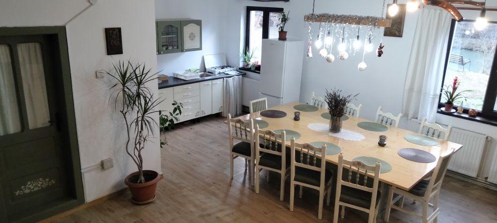 Casă de vacanță în inima naturii (Liber de Revelion si Crăciun)