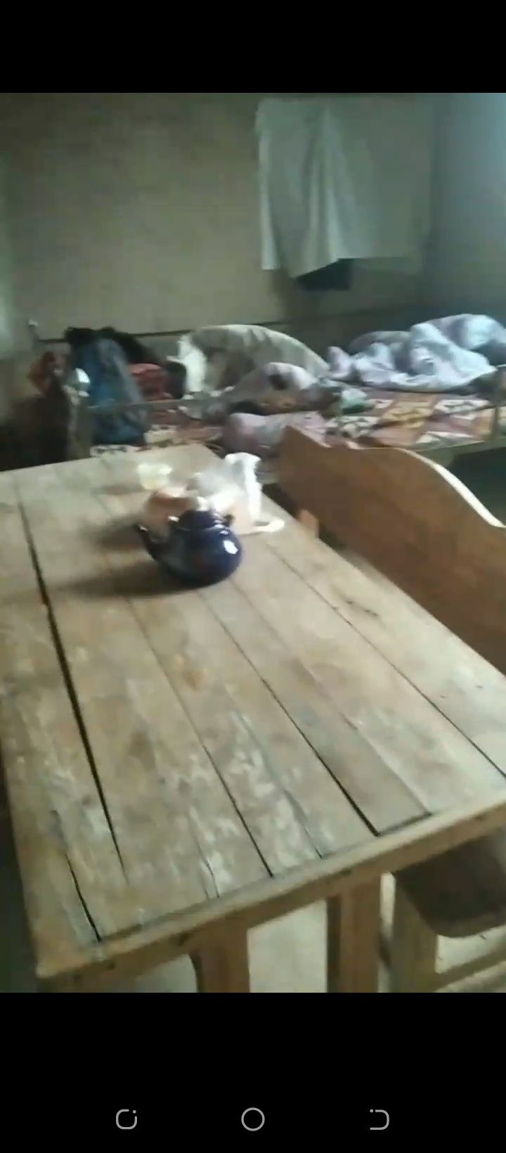 Hovli ijaraga beriladi
