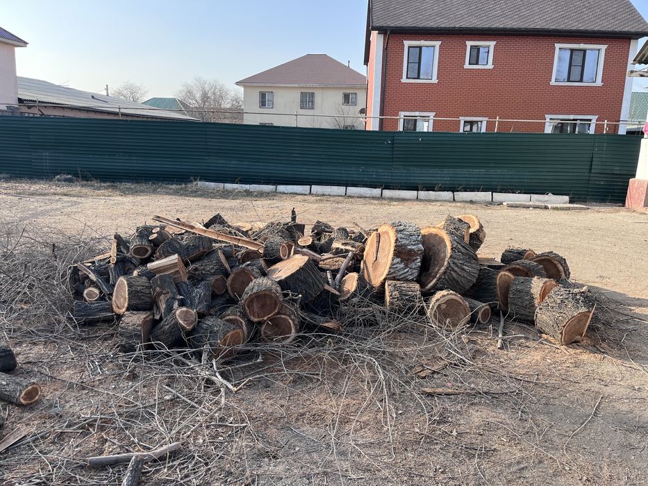 Продам дрова алматы