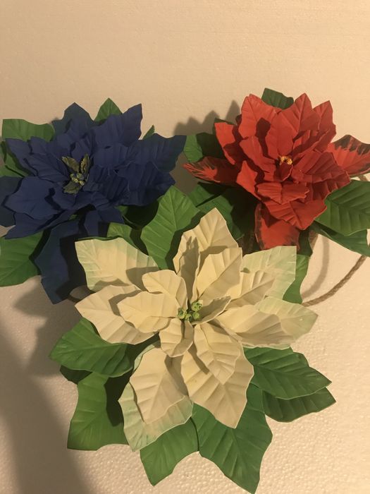 Poisenttia, Floarea Craciunului