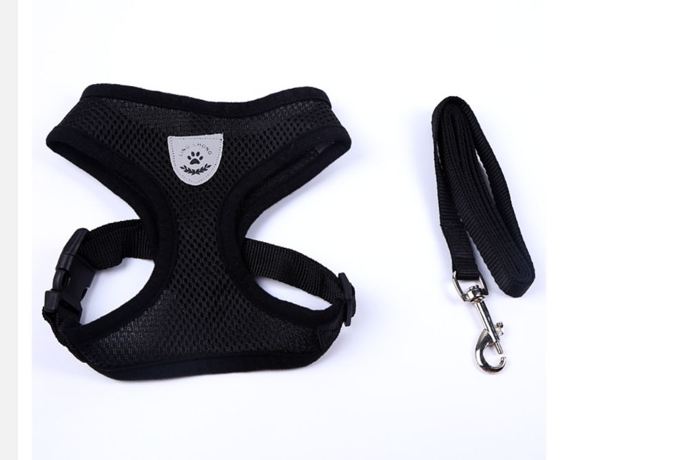 Каишка за малки кучета