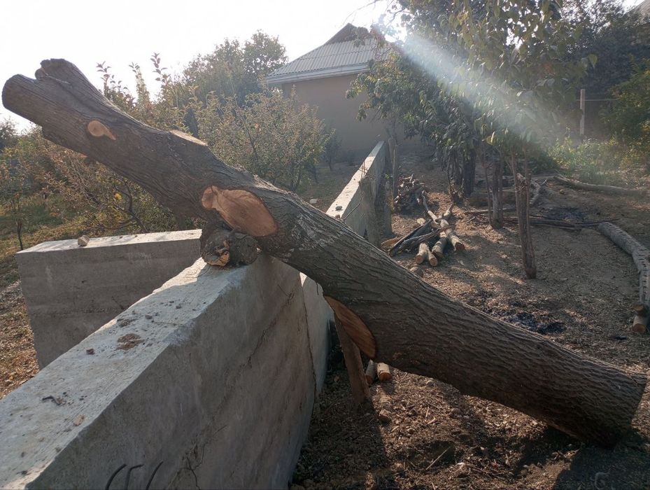 Yongʻoq kundasi qurilish uchun