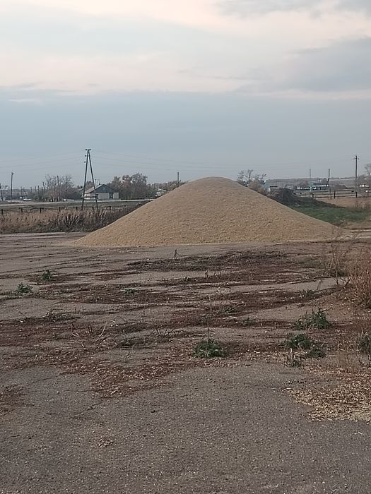 Продам Ячмень Этого года