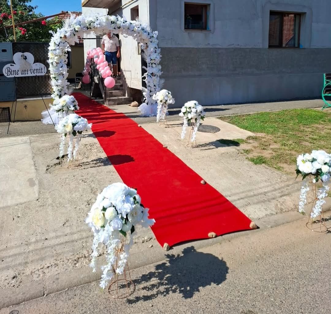Decor nuntă- curți,mașini