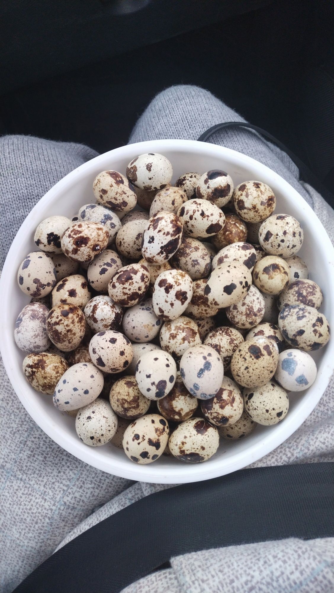 Яйца перепелиные