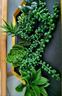 Accesorii camere un set de 8 plante verzi din plastic

planta 1 - 16cm