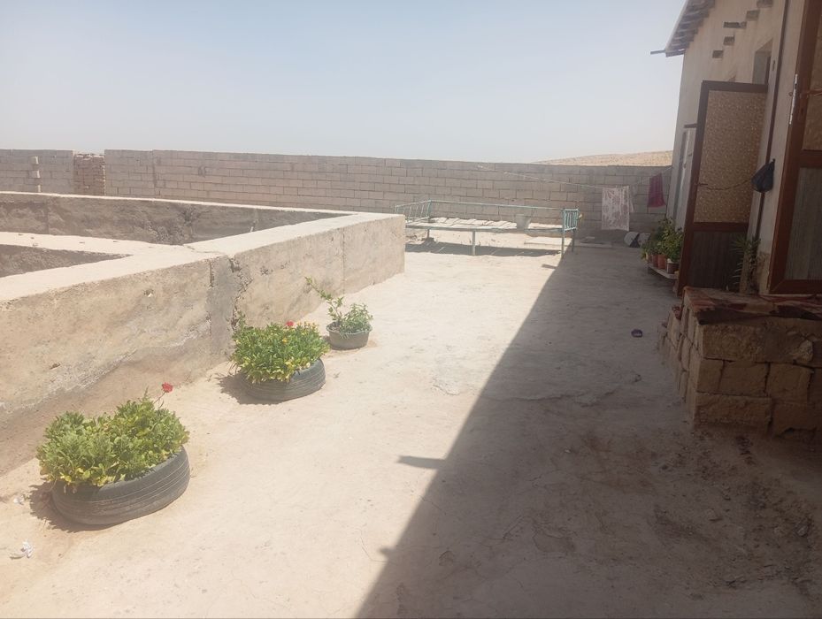 Xovli farxod savxozda yangi yul