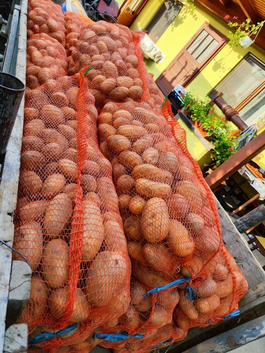 Cartofi pentru consum albi cu miezul galben! 2,5 lei kg