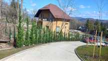 Vand plante ornamentale Gazon rulou