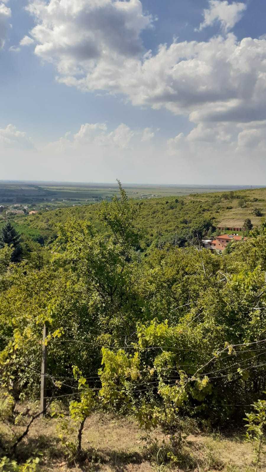 Cabana Valea Domnească Ghioroc de vânzare