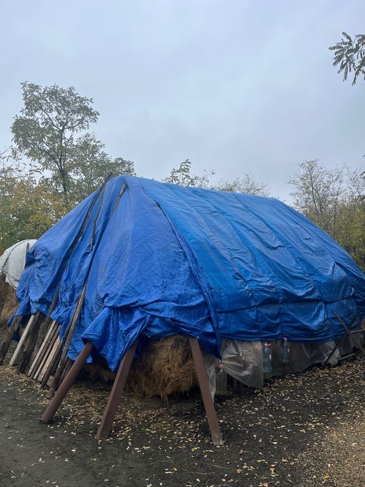 Baloti fan 2025 calitate foarte buna