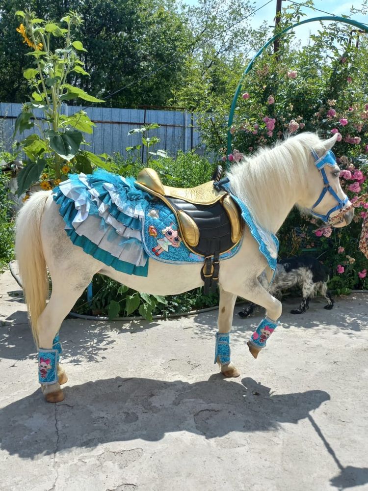 Ареда пони, кареты, лошадей