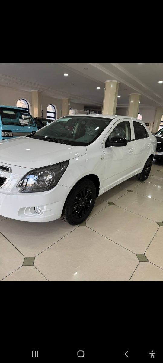 Cobalt qora diskali Mitnayt 2025