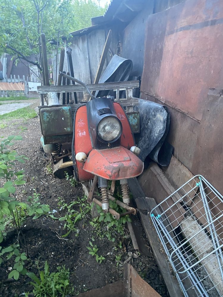 Продам муравей
