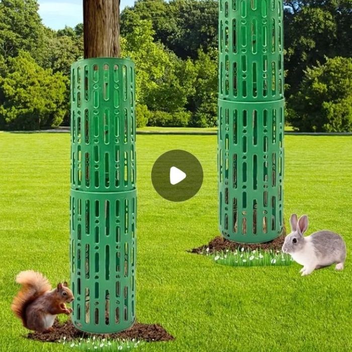 Protecție trunchi copaci,legume,etc