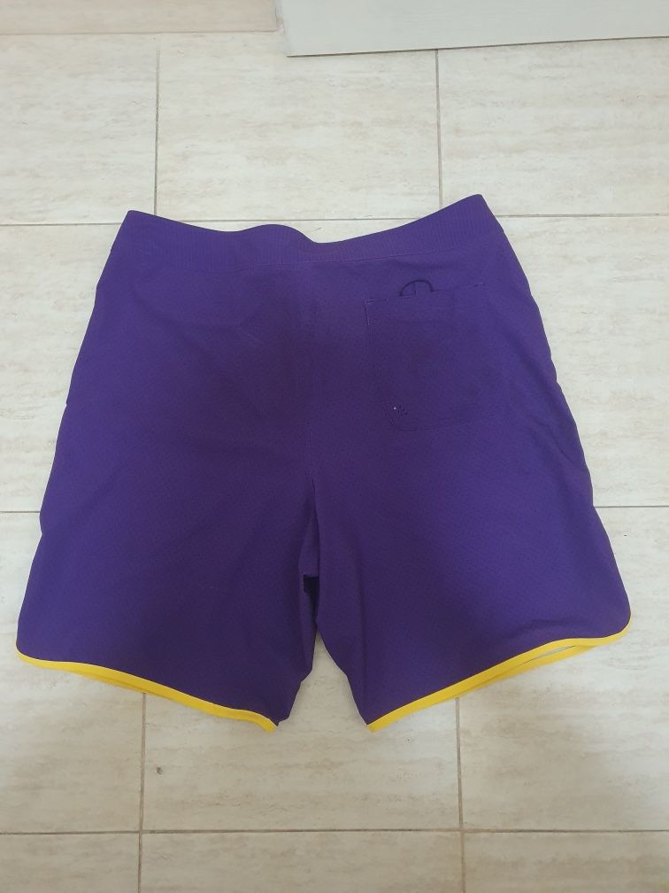 Purple Nike 6.0 Shorts