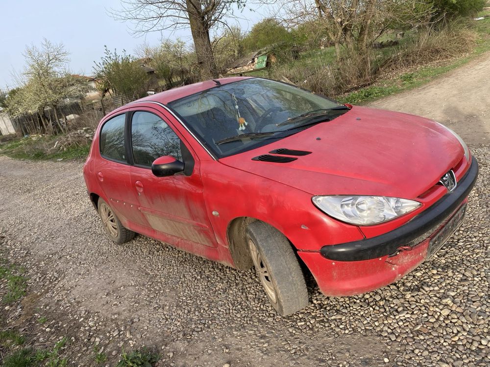 Peugeot 206 radiata