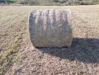 Balot rotund fân