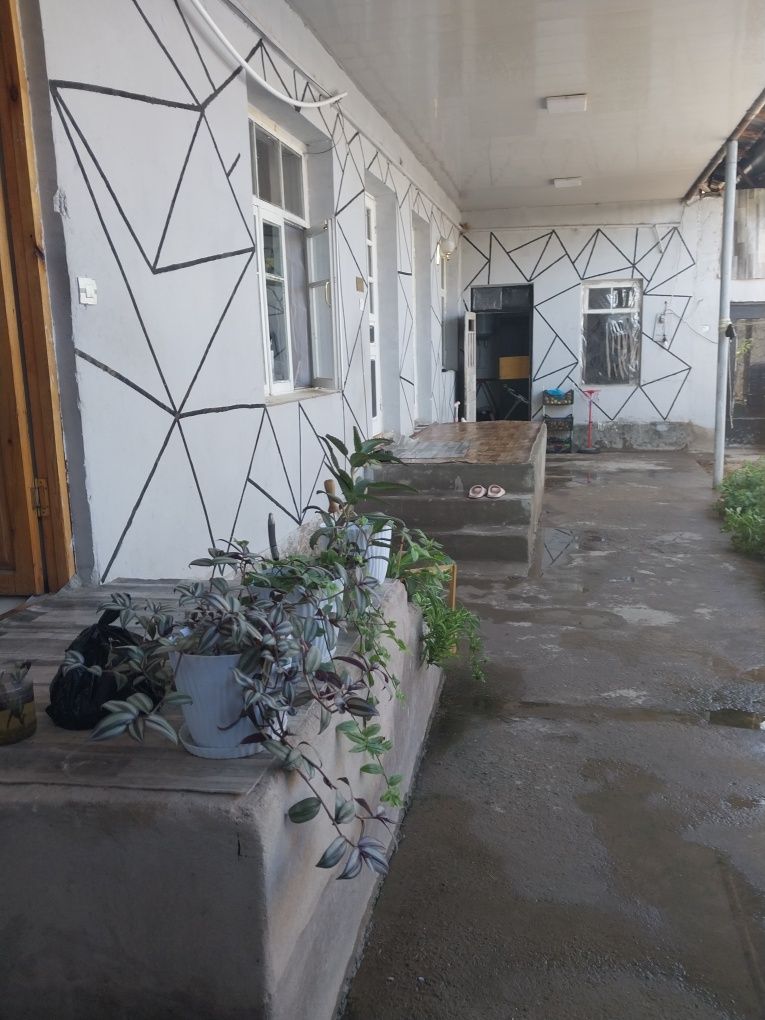 Srochna uchastka sotiladi Olmos mahallada