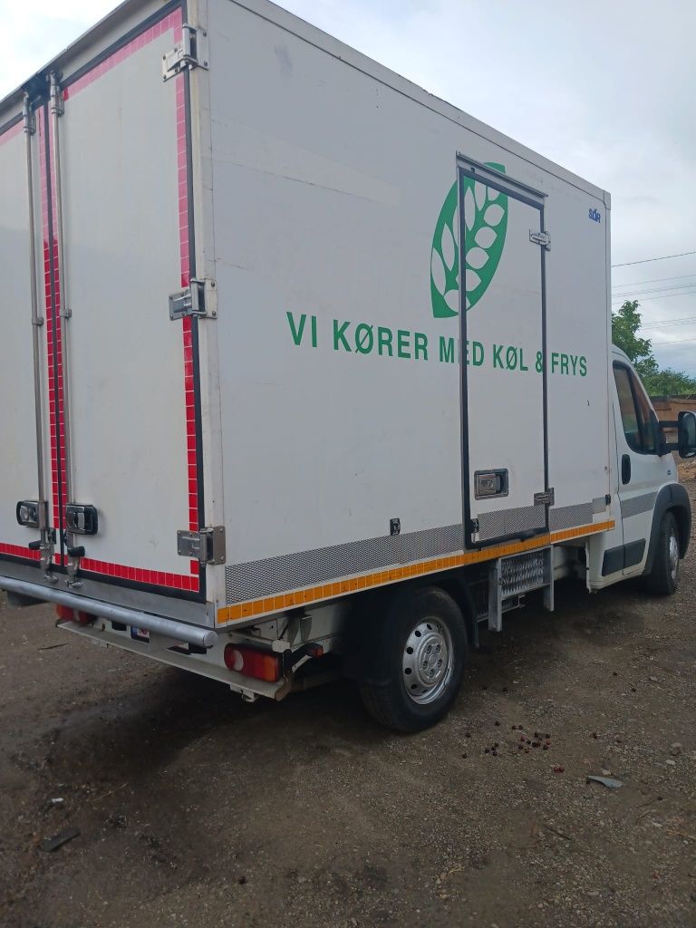 Fiat Ducato frigo 2013