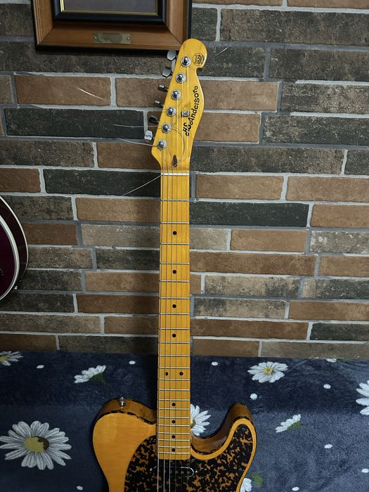 H.S. Anderson Mad Cat (telecaster)