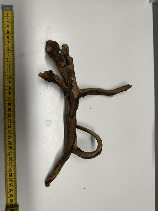 Lemne / radacini acvariu