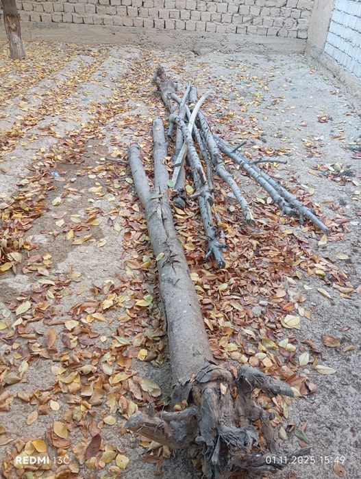 1ta ЗИЛ O'tinlar 1 million so'm hammasi