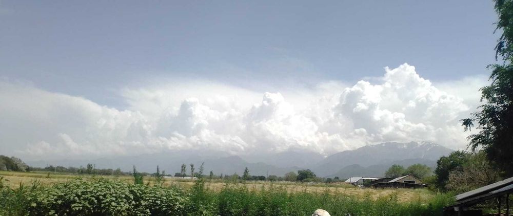 перспективный участок в Бельбулаке (Мичурин)