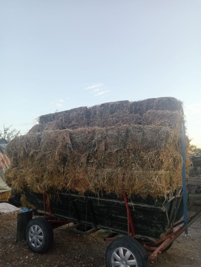 Vând baloți de lucernă măruntă