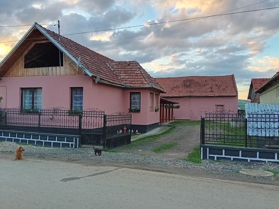 Ofer spre vânzare casa la 4 km de băile sărate Ocna mures