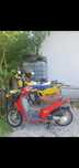 Motoscooter Piaggio free 50cmc