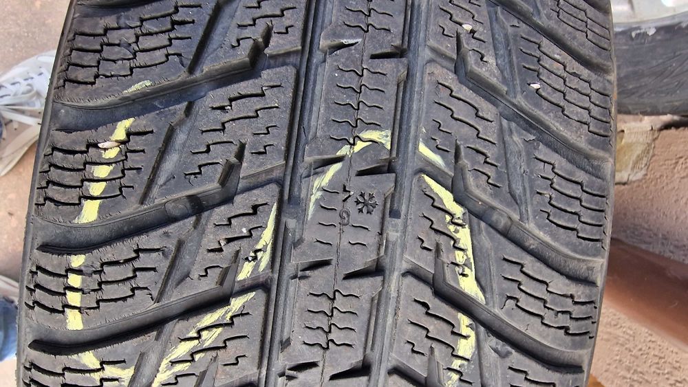 Roti Iarna BMW X3 F25 225 55 R17 - Nokian WR SUV 3