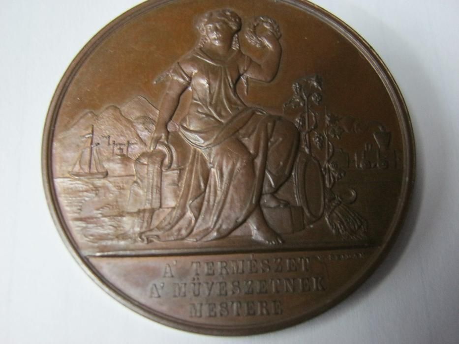 Medalie bronz,Medicina, 1870,Arad.F.rara.