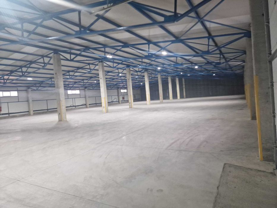 Depozit, hala depozitare, 300 sau 600 mp in Baia Mare