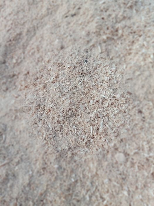 Vănd rumeguș de brad ,fag