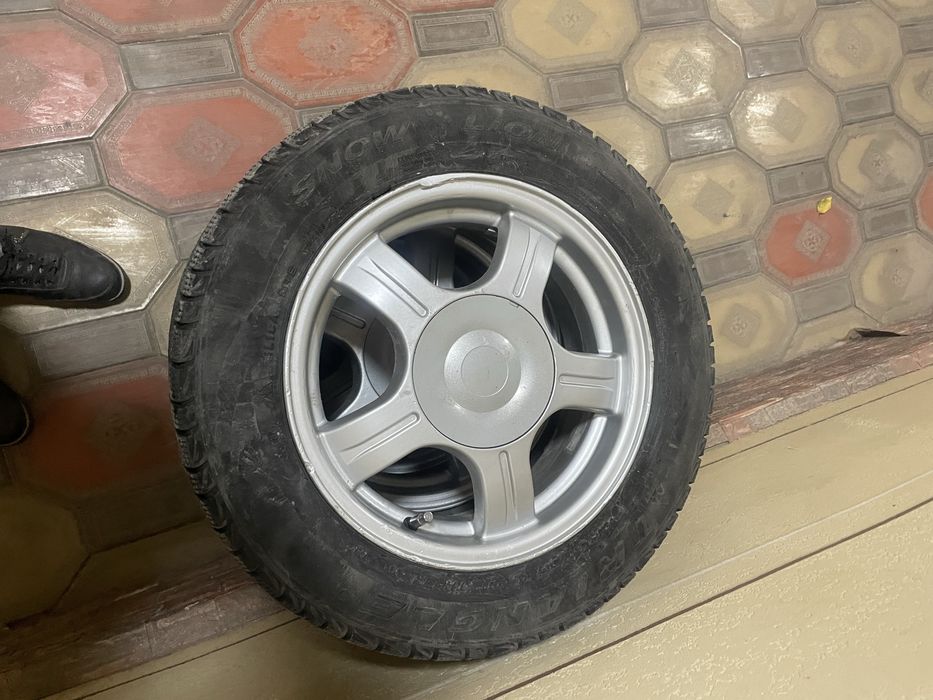 Диска приора зимний