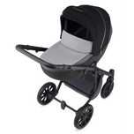 Коляска ANEX m/type PRO 2 в 1