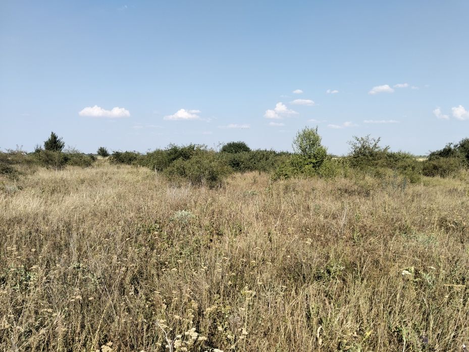 Vând teren intravilan Bodrogul Nou