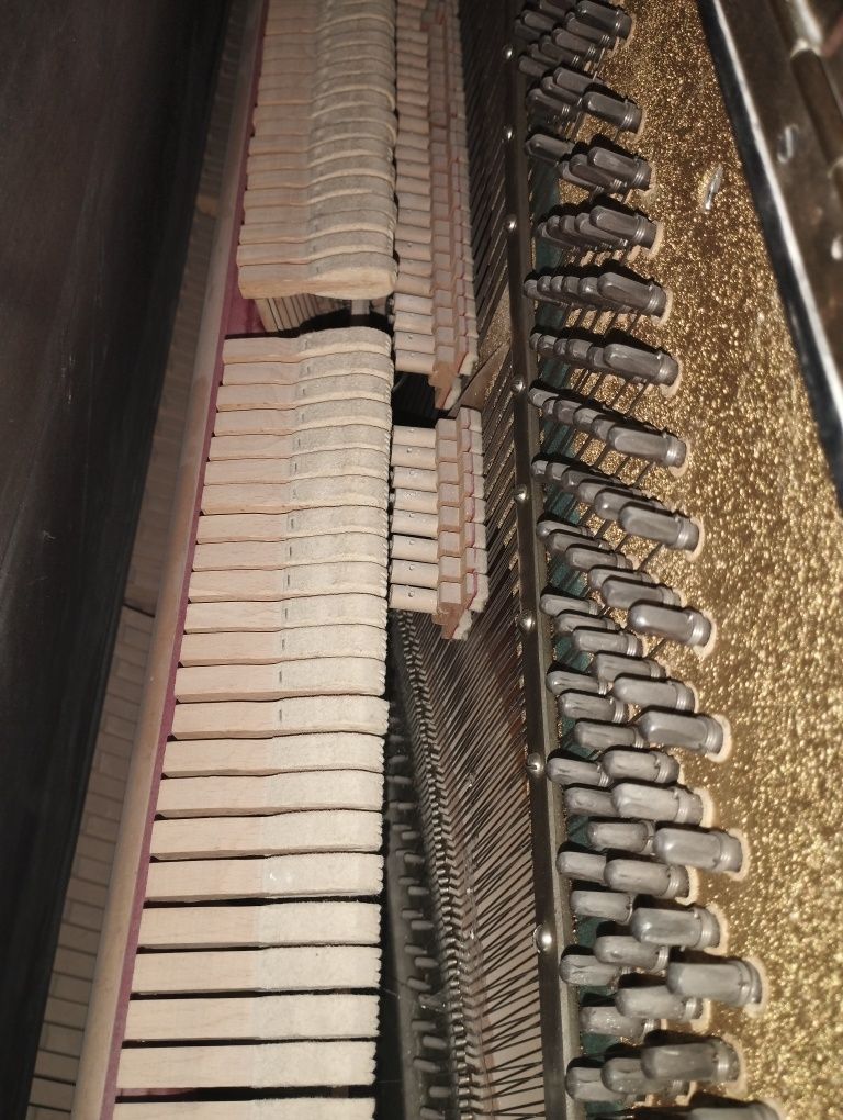 Фортепиано-Беларусь