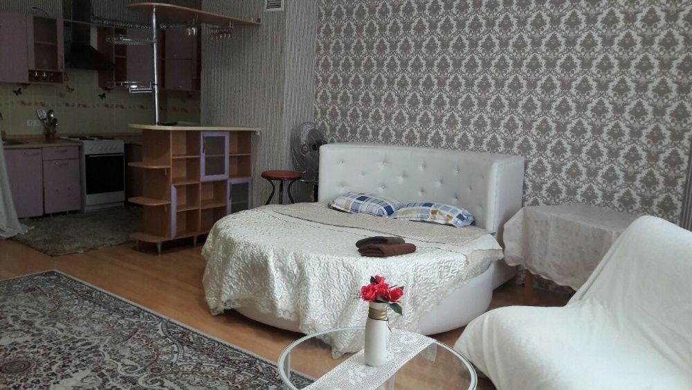 1 комн.около Карсити евроремонт по суточно