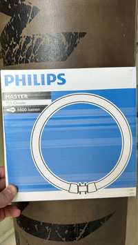 Tub Fluorescent PHILPS - NOU - 22W - rotund