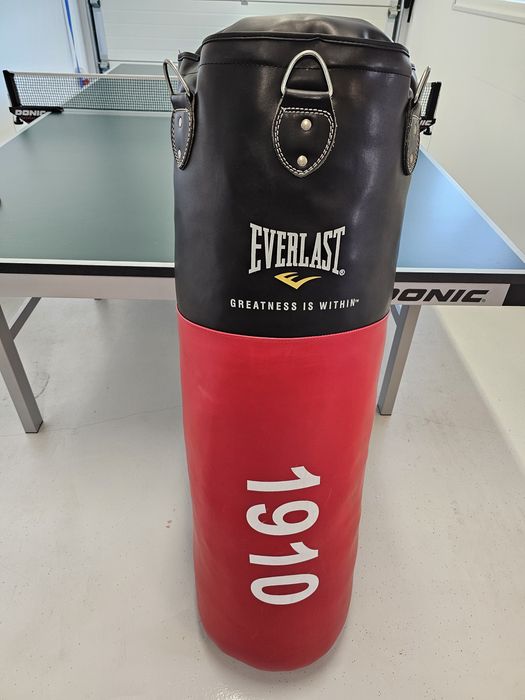 Vand sac de box profesional Everlast