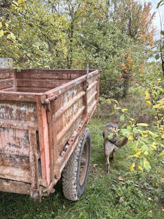 Remorca agricolă 2000 lei  Remorca pe ax