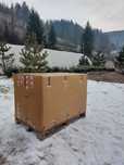 Pachet 50 buc. Mixt- 5 specii brad american la ghiveci 5L- H 60-90cm