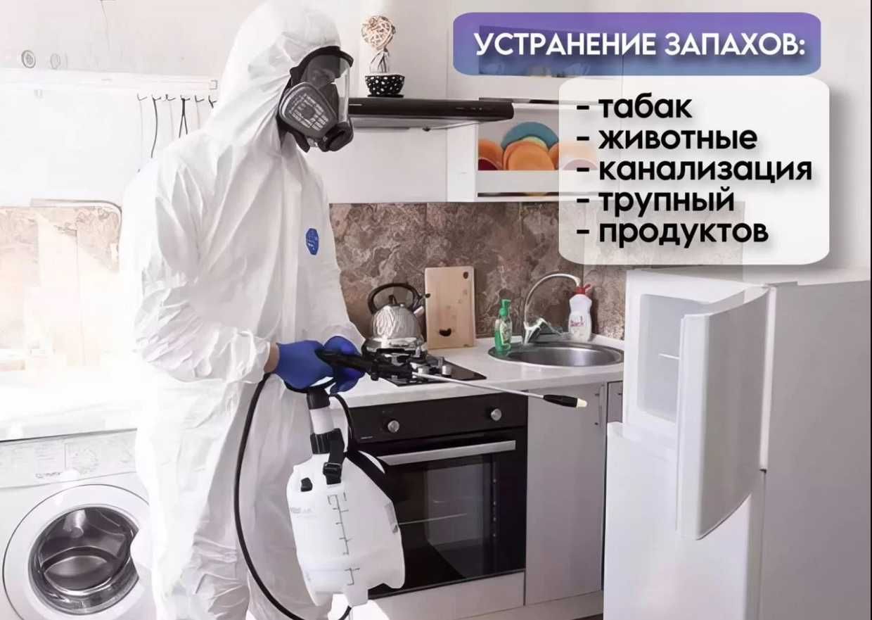 Dezinfeksiya klop дезинфекция Уничтожение насекомых, тараканов, клоп