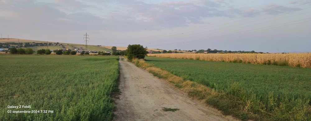 Teren intravilan Izvoare, Neamt.