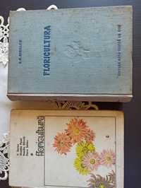 Floricultura, compendiu , manual.